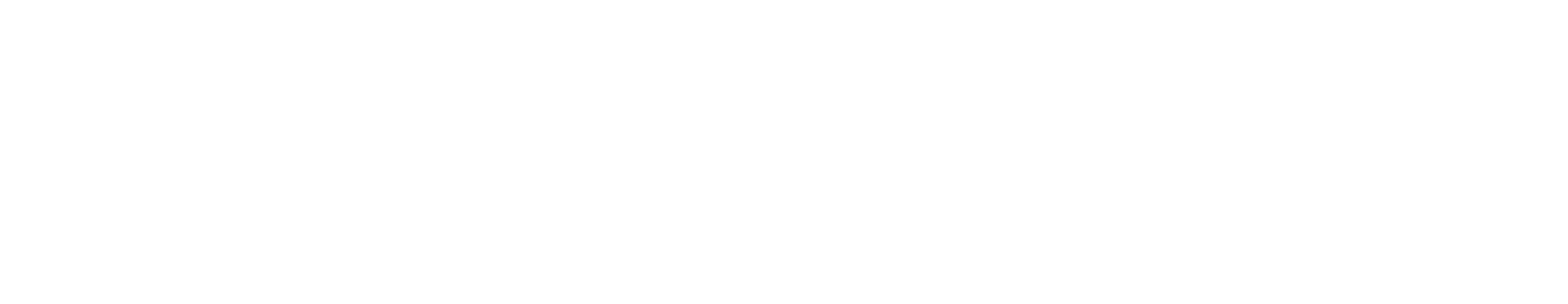 Veconinter Logo